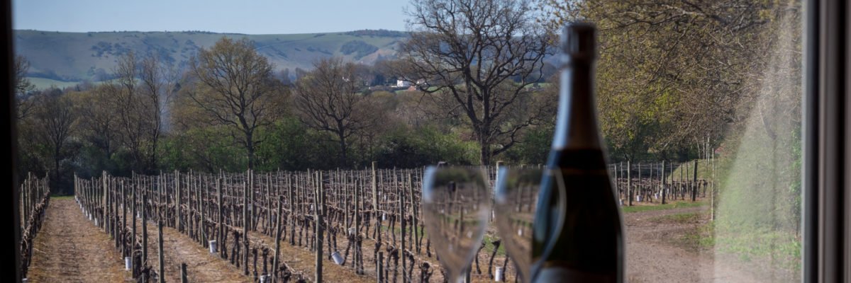 Ridgeview, vineyard, office interiors, Ditchling, Love Your Workspace