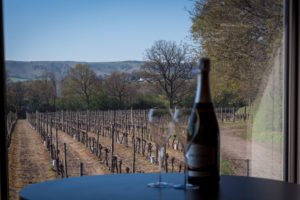 Ridgeview, vineyard, office interiors, Ditchling, Love Your Workspace