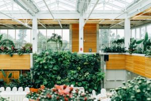 Biophilic design, office design trends, 2018, Living walls