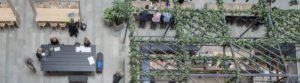 office design trends, 2019, 2020, interior design, love your workspace