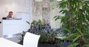Finance, CAT A, CAT B, office fit out, interior design, finance for offices