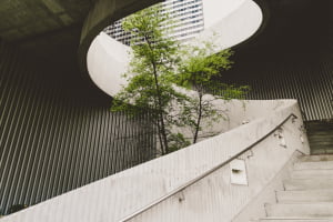 sustainability
